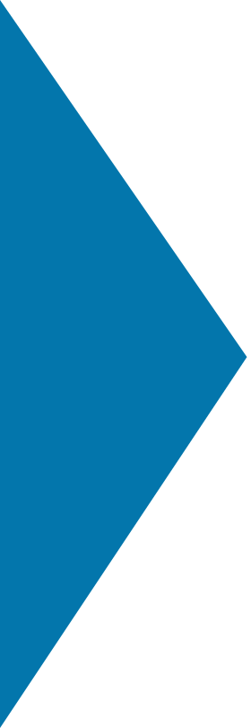 maX Software Integration